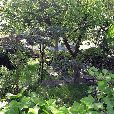 Toby Blisko Plazy Strandnahe Near * Miedzyzdroje