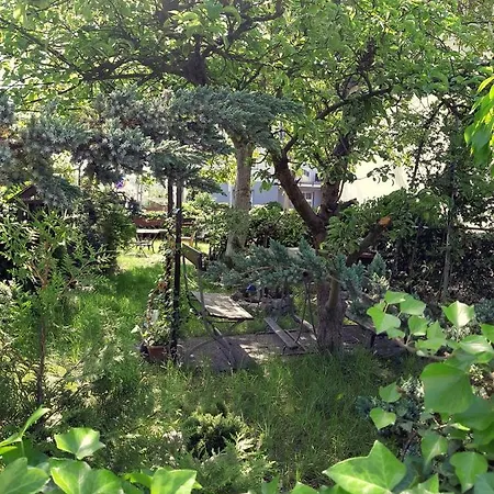 Toby Blisko Plazy Strandnahe Near Beach