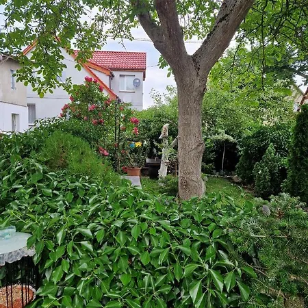 Toby Blisko Plazy Strandnahe Near Beach *