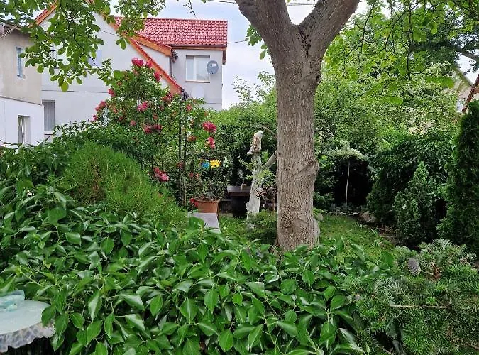 Toby Blisko Plazy Strandnahe Near *